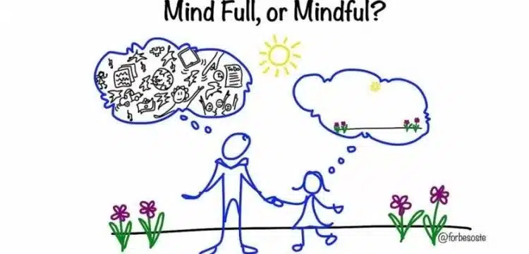 Mind full or mindful 750x360 3 jpg